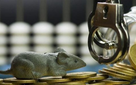 今天黄金多少钱1克